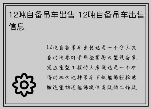 12吨自备吊车出售 12吨自备吊车出售信息